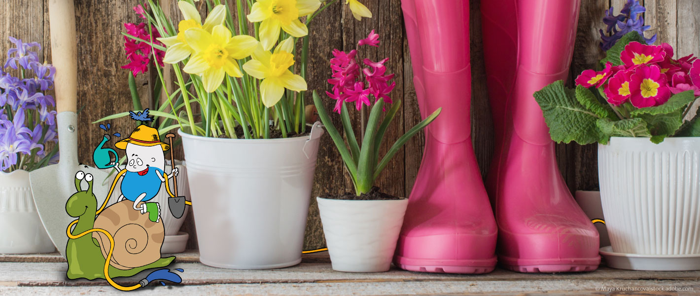 Paul Pille Thema - Paul Pille Thema